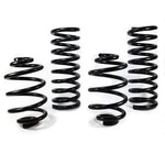 2WD Springs by Schwenk