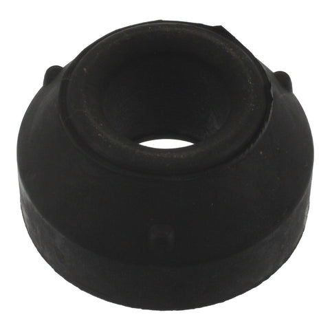 Radius Rod Bushing, Rear